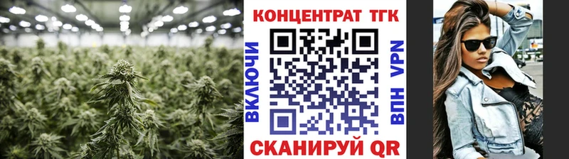 ТГК Wax  omg вход  Кандалакша 
