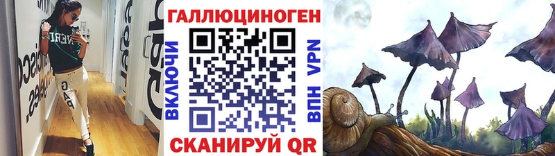 Псилоцибиновые грибы Psilocybe  Кандалакша 